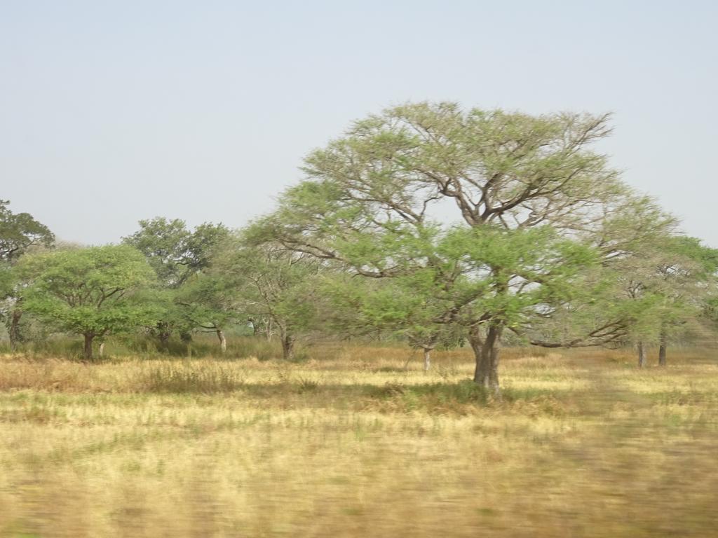 Kansala Ta Toto Kafountine Extérieur photo